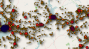 New Tech Post: iPhone and Android Tracking Files
