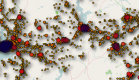 New Tech Post: iPhone and Android Tracking Files